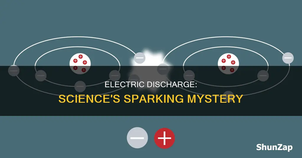 what is a electric discharge in science