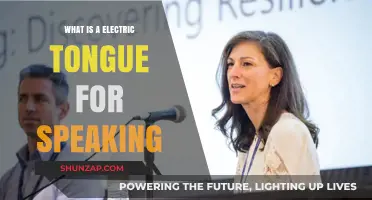 Electric Tongue: Speaking With Electricity