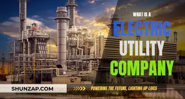 Powering Your World: Understanding Electric Utility Companies