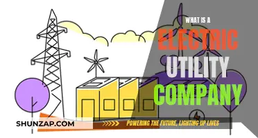 Understanding Electric Utility Companies: Powering Our World