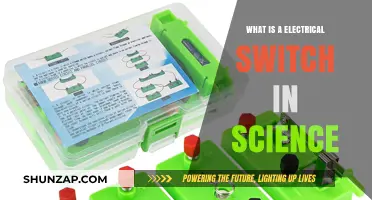 Switch Basics: Electrical Flow Control