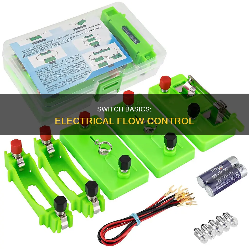 what is a electrical switch in science