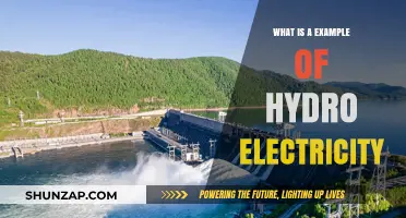 Hydroelectric Power Plants: Generating Electricity from Water