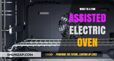 How Fan-Assisted Electric Ovens Work