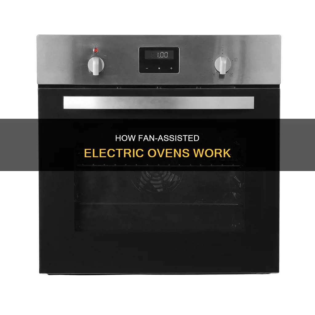 what is a fan assisted electric oven