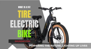 Fat Tire Electric Bikes: The Ultimate Guide