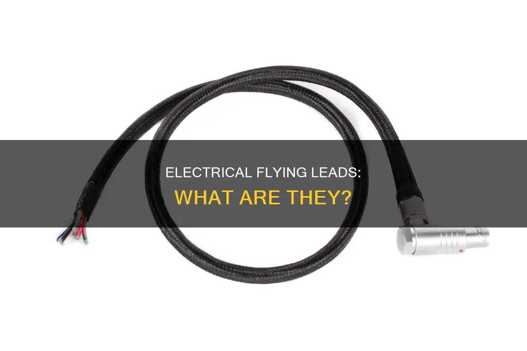 what is a flying lead in electrical