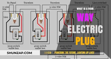 Electric Plug Revolution: 4-Way Splitter