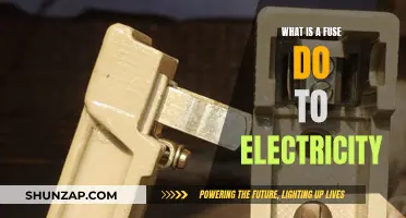 Fuse Functionality: Electricity's Unsung Hero