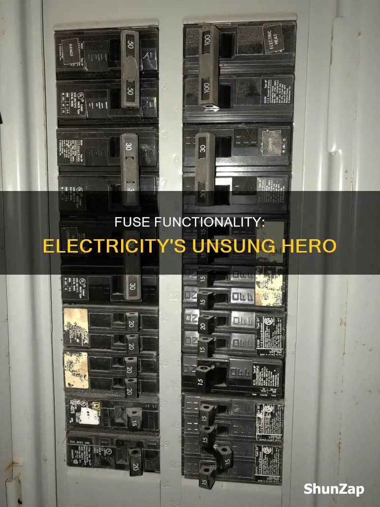 what is a fuse do to electricity