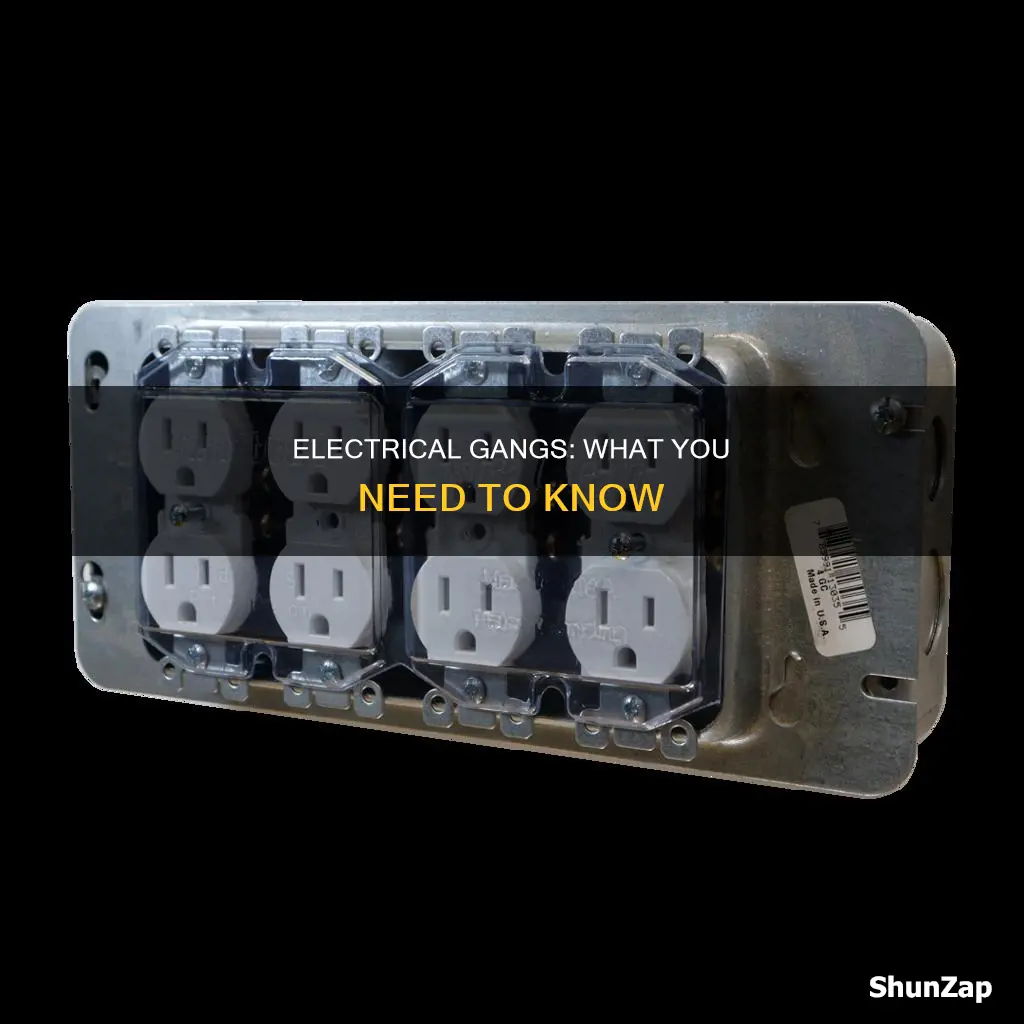 what is a gang in electrical terms