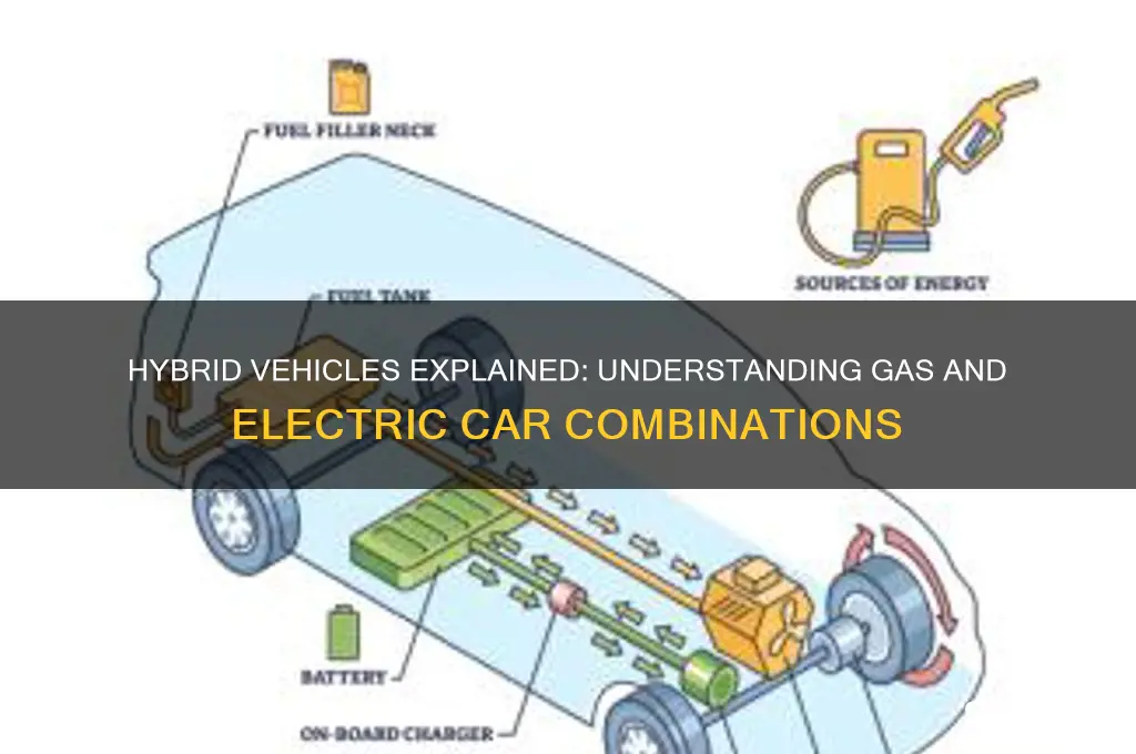 what is a gas and electric car called