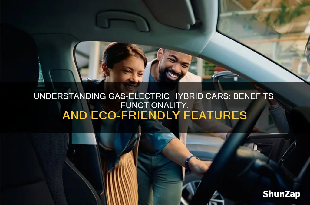 what is a gas electric hybrid car