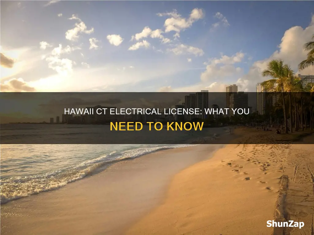what is a hawaii ct electrical license