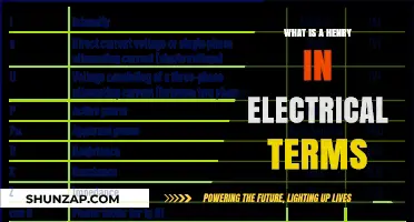 Understanding the Henry: Electrical Inductance Measurement
