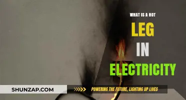 Hot Leg Electricity: What's the Danger?