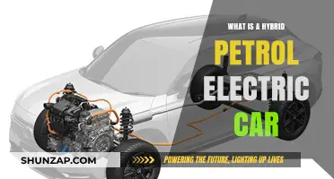 Hybrid Petrol-Electric Cars: Understanding Their Technology and Benefits