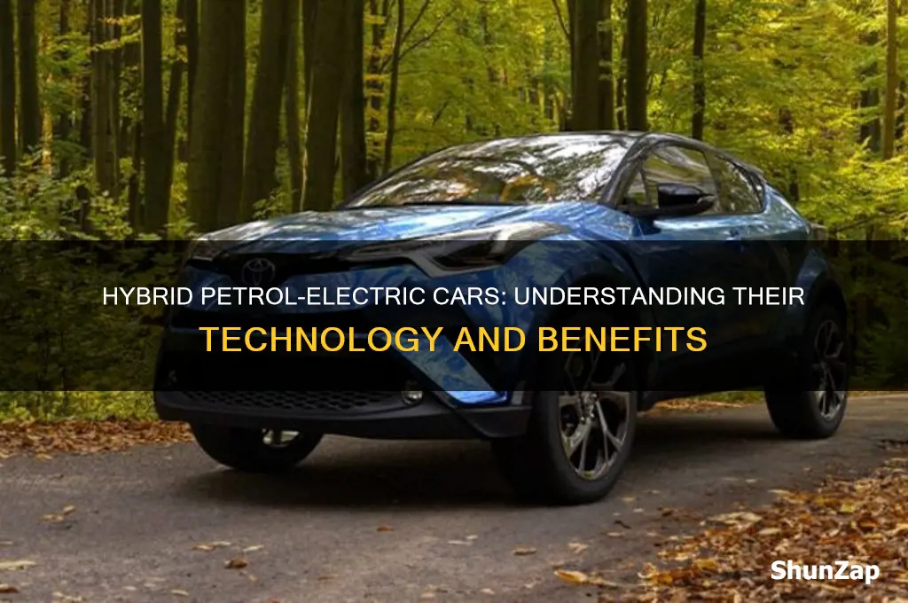 what is a hybrid petrol electric car
