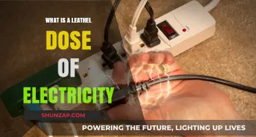 Voltage Shock: Understanding Lethal Electrical Doses