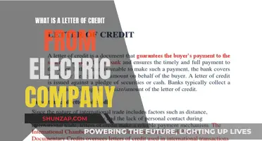 Understanding Letter of Credit: A Guide to Electric Company Payments