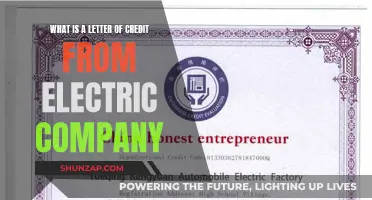 Electric Company's Letter of Credit: What's the Deal?