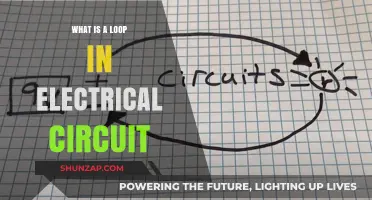 Understanding Electrical Circuits: What are Loops?