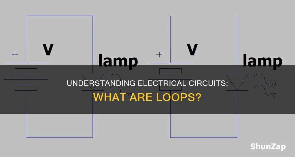 what is a loop in electrical circuit