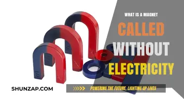 Magnets Without Electricity: Permanent Magnets Explained