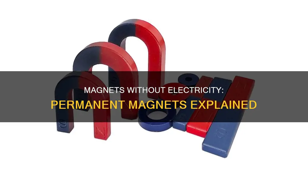 what is a magnet called without electricity
