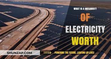 Understanding the Value of a Megawatt of Electricity