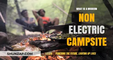 Camping Back to Basics: Non-Electric Campsite Explained