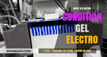 Native Gel Electro: What's the Science?