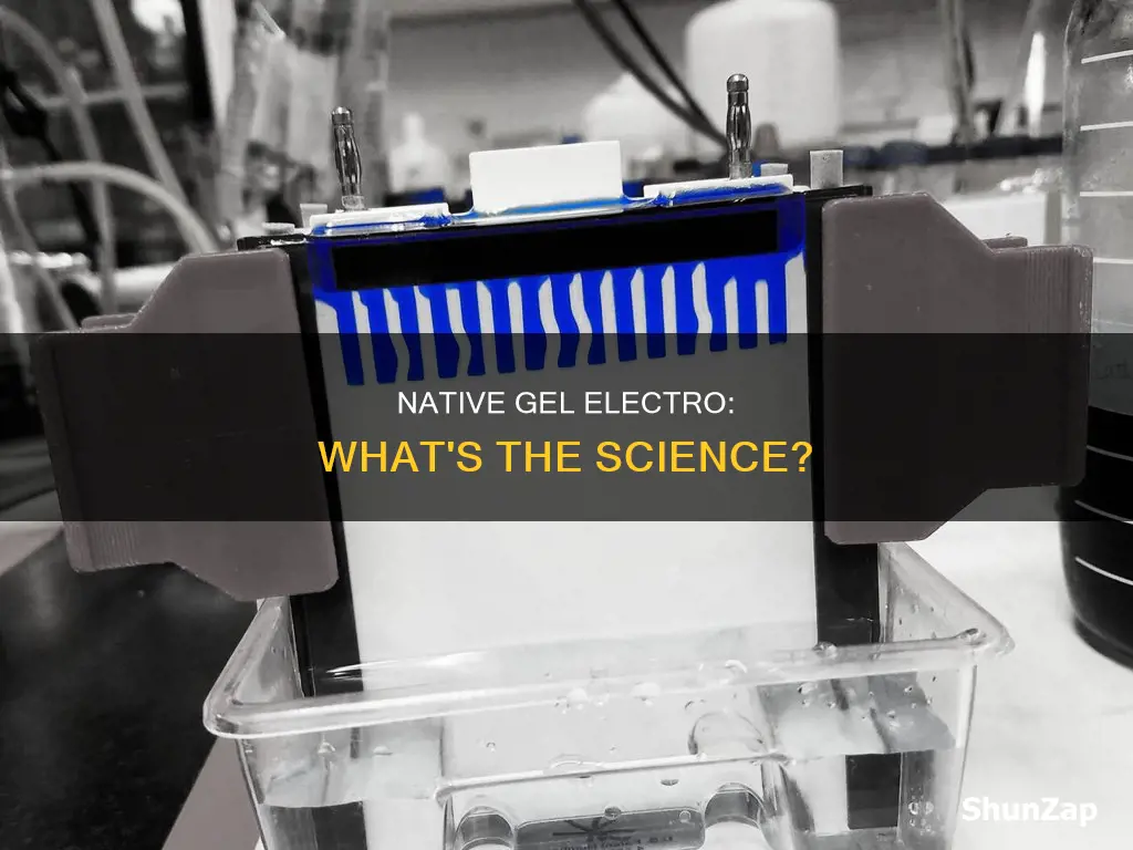 what is a native condition gel electro
