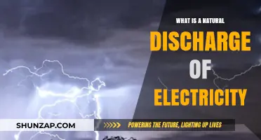 Nature's Electrical Discharge: What's the Spark?