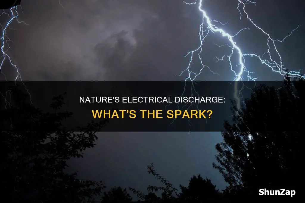 what is a natural discharge of electricity