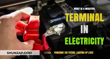 Understanding Electrical Circuits: Negative Terminals Explained