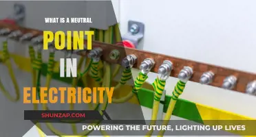 Electricity's Neutral Point: Understanding the Balance