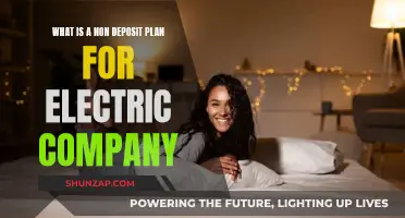 Electric Company's Non-Deposit Plan: How Does It Work?