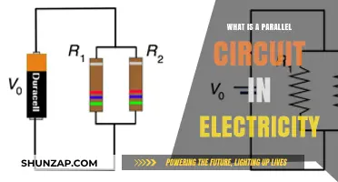 Understanding Parallel Circuits: Powering Multiple Paths