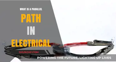 Understanding Parallel Paths in Electrical Circuits