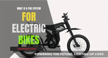 PAS System: Electric Bike Power Assist Explained