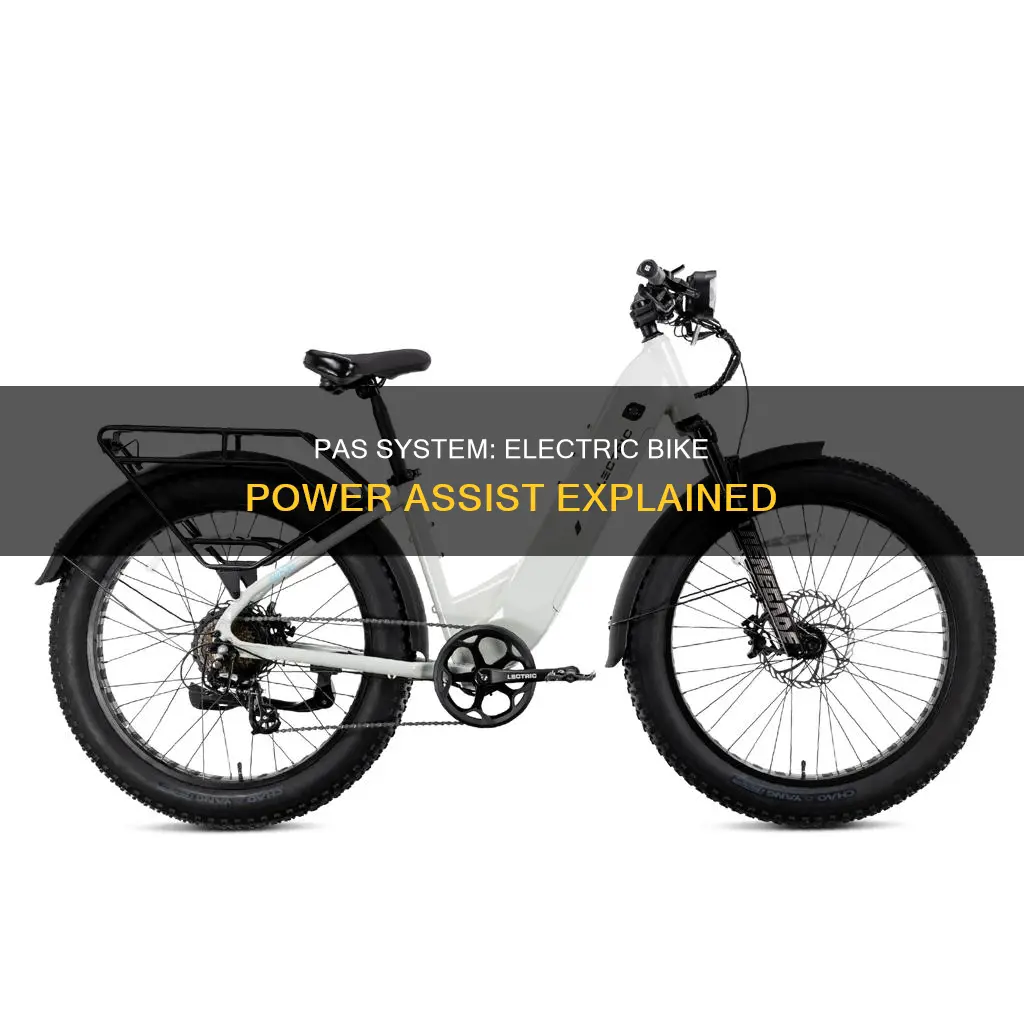 what is a pas system for electric bikes