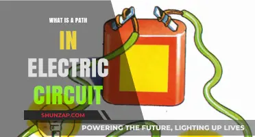 Understanding Electric Circuit Paths: What You Need to Know