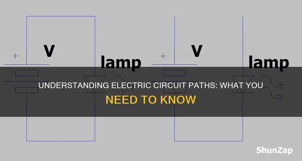 what is a path in electric circuit