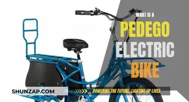 Pedego Electric Bikes: The Ultimate Guide to Riding