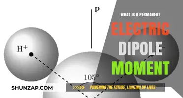 Electric Dipole Moments: A Permanent Attraction