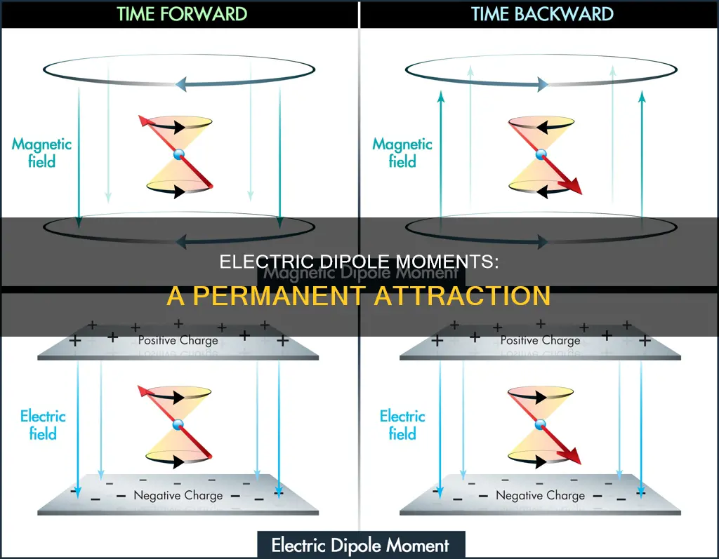what is a permanent electric dipole moment