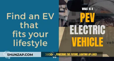 Unveiling the Power of Pev Electric Vehicles: A Comprehensive Guide