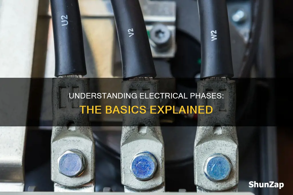 what is a phase in electrical terms