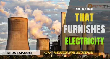 Electricity-Generating Plants: Nature's Power Stations